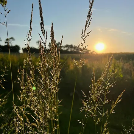 Naturerlebnis מאלכין